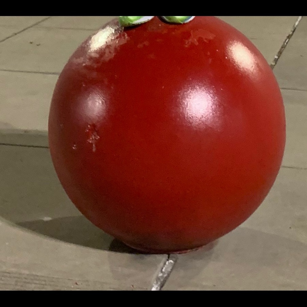 Meet your Posher, Sharareh